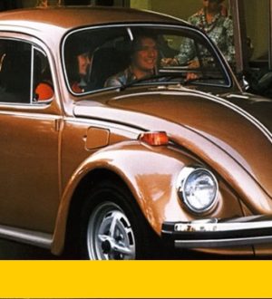 Поговорим о старом Жуке