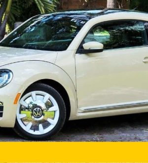 Обзор последнего Фольксвагена Жука 2019 года