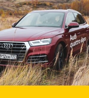 Что такое полный привод от Audi — технология Quattro