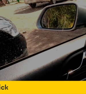 Скрипит стеклоподъемник в Шкода Октавия А5: как устранить проблему