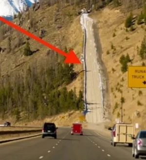 Как остановить машину, если отказали тормоза при движении