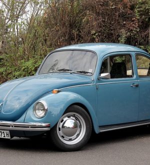 История beetle фольцваген жук. Как Volkswagen относится к своим связям с Гитлером?