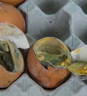 Причины запаха тухлых яиц в машине и что делать