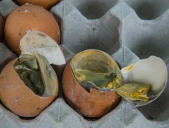 Причины запаха тухлых яиц в машине и что делать