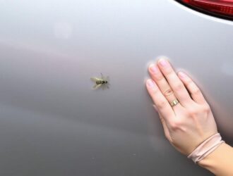 Как удалить следы насекомых с кузова: практичный гид по возвращению блику и чистоты